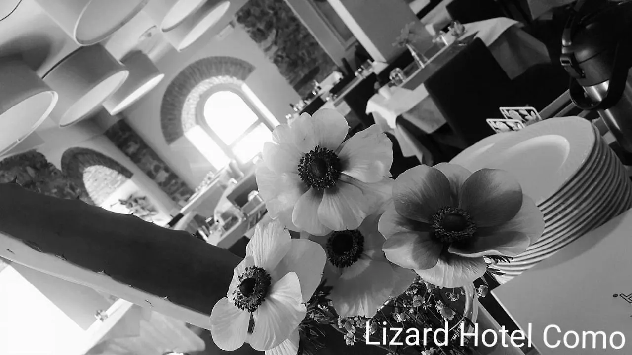 Lizard Hotel Como Italy